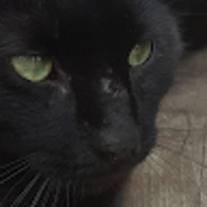 Meet your Posher, Tomorrow